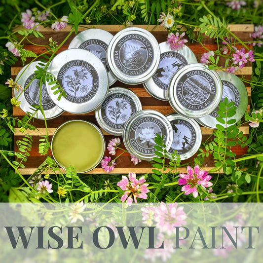 Wise Owl Furniture Salve - Clear